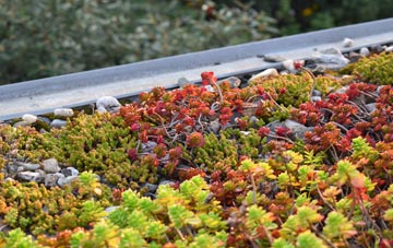 the cost of Priddy green roof installation