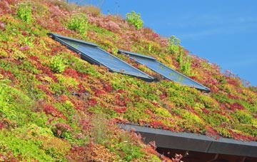 Priddy living roof systems