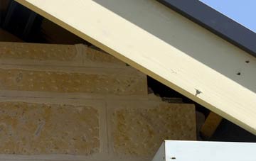 soffit repair Priddy