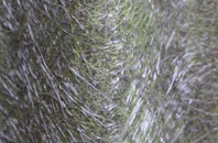 Priddy fibreglass roof work